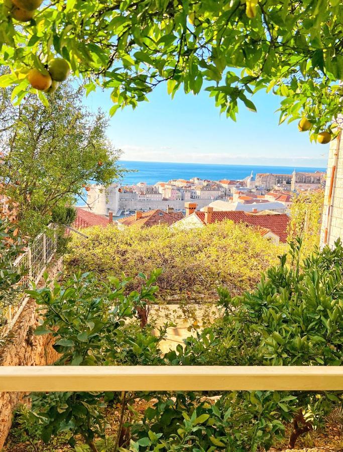 Guest house Blue Lagune Dubrovnik